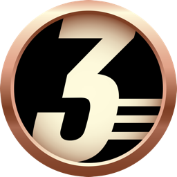 Bronze medal, third place