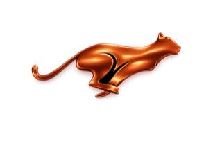 Bronze puma