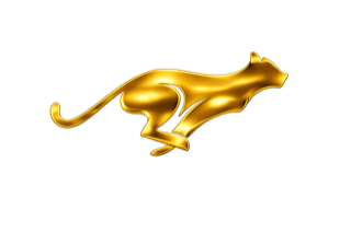 Gold puma