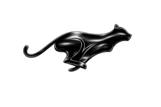 Master puma