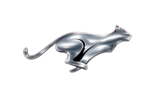Silver puma
